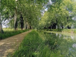 Chemin de halage du canal de Garonne. Photo Rémih, Wikimedia Commons, CC BY-SA 4.0