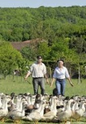 LA FERME DE SOULEILLES A FRESPECH