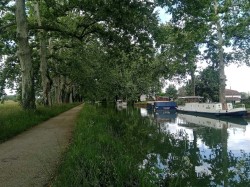 Voie verte du canal de Garonne à Malause. Photo Rémih, Wikimedia Commons, CC BY-SA 4.0